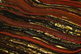Polished Tiger Iron Stromatolite - Billion Years #129337-1